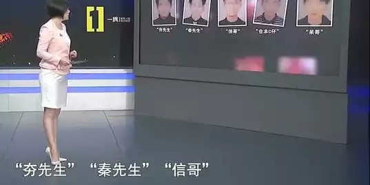 乐鱼体育下载-回顾“91女神”琪琪：五官出众，却因天真让自己“受伤”